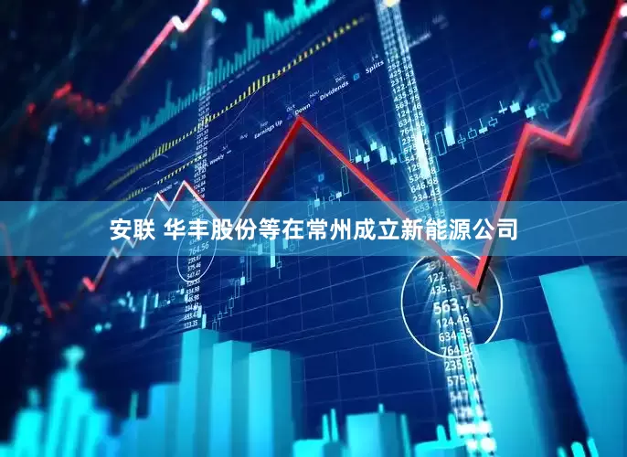 安联 华丰股份等在常州成立新能源公司