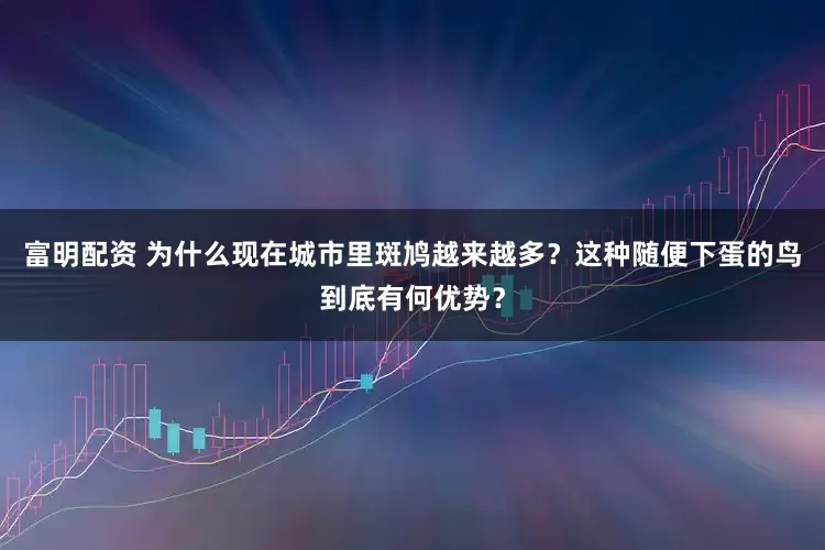 富明配资 为什么现在城市里斑鸠越来越多？这种随便下蛋的鸟到底有何优势？