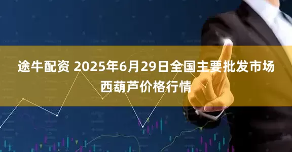 途牛配资 2025年6月29日全国主要批发市场西葫芦价格行情