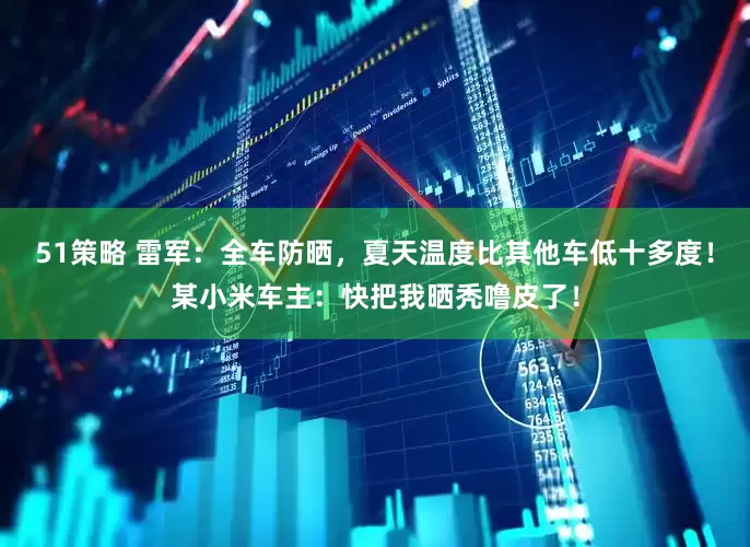 51策略 雷军：全车防晒，夏天温度比其他车低十多度！某小米车主：快把我晒秃噜皮了！