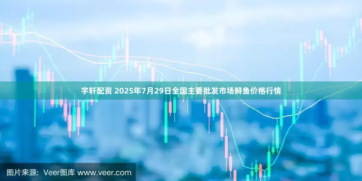 宇轩配资 2025年7月29日全国主要批发市场鲟鱼价格行情