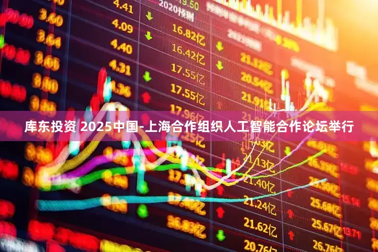 库东投资 2025中国-上海合作组织人工智能合作论坛举行