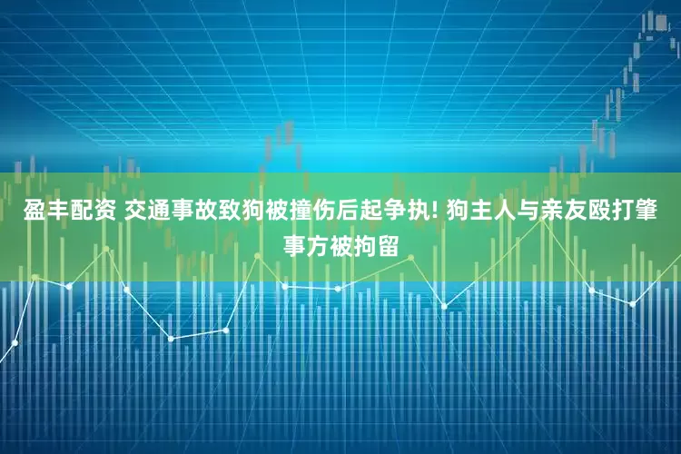 盈丰配资 交通事故致狗被撞伤后起争执! 狗主人与亲友殴打肇事方被拘留